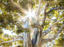 Discover Inspiring Spirituality Quotes That Will Uplift Your Soul