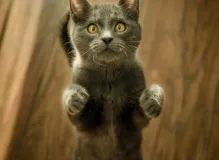 
Hilarious and Honest Truth Quotes That Will Make You Burst with Laughter