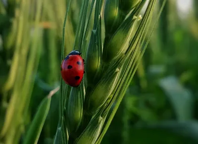 Boost Your Motivation with Inspirational Quotes for Work