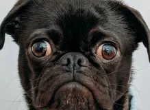 Discover Hilarious Truth Quotes That Will Leave You in Stitches