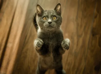 
Hilarious and Honest Truth Quotes That Will Make You Burst with Laughter