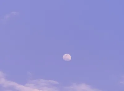 Religion Quotes in Purple Hibiscus Summary: Unlocking the Profound Messages of Faith in this Captivating Novel