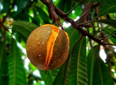 Discover the Transformative Power of Spirituality Quotes and Ignite Your Inner Light