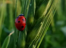 Boost Your Motivation with Inspirational Quotes for Work