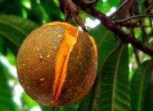 Discover the Transformative Power of Spirituality Quotes and Ignite Your Inner Light