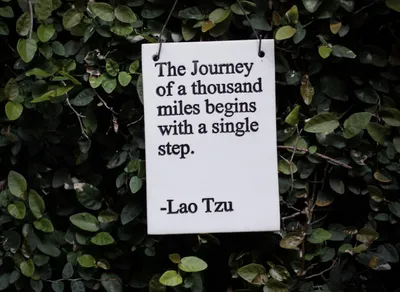 Discover the Ultimate Wisdom Quotes to Inspire and Empower #WisdomQuotes